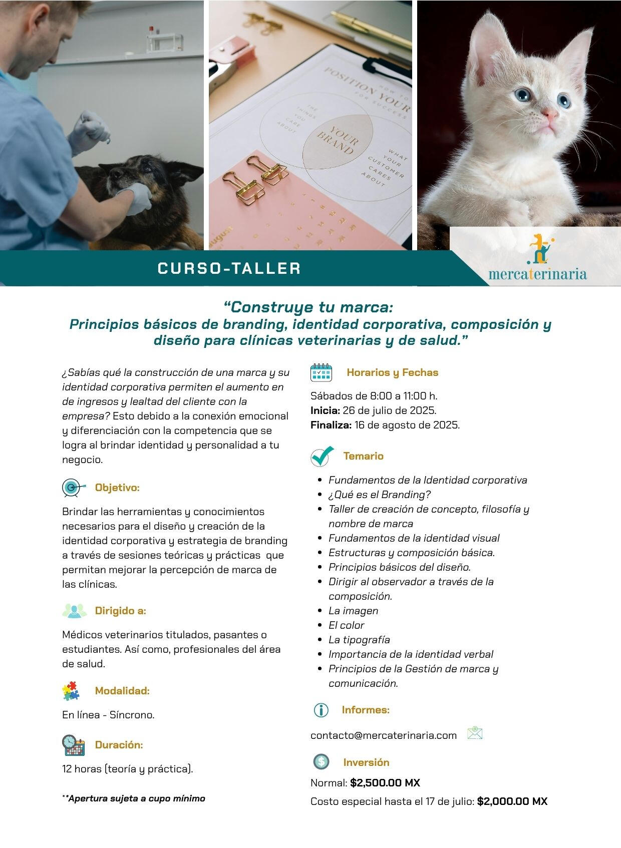 Plan de estudios branding