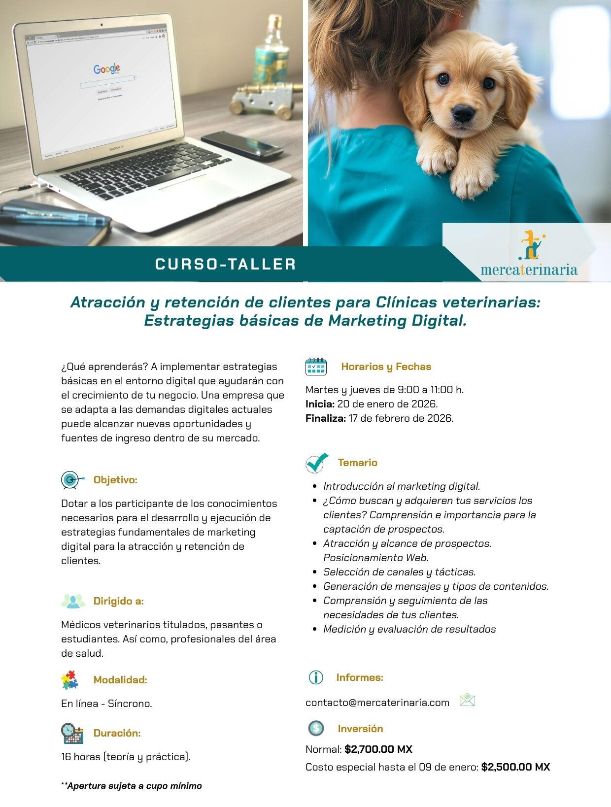 Temario marketing digital vet