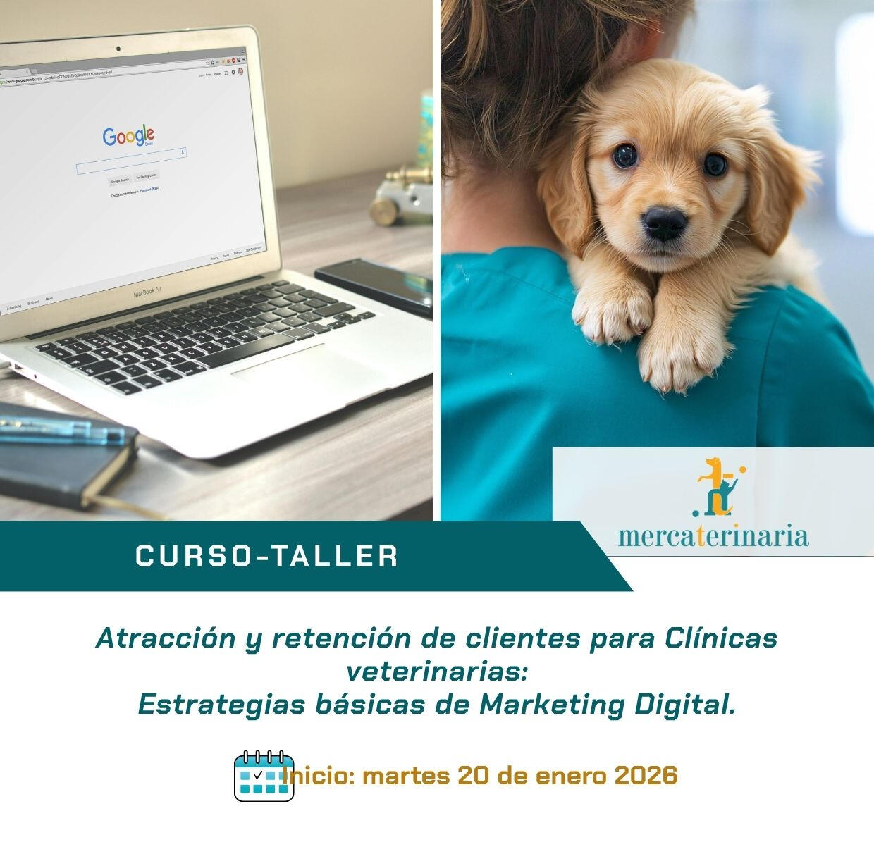 Curso marketing digital veterinaria